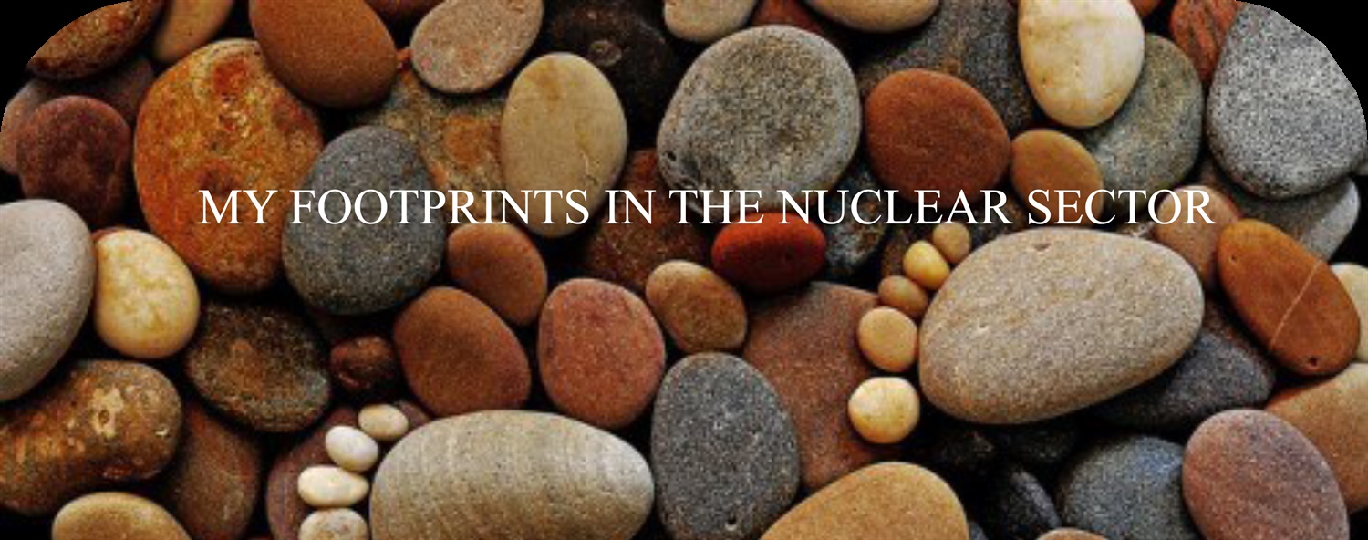 My Footprints in the Nuclear Sector
